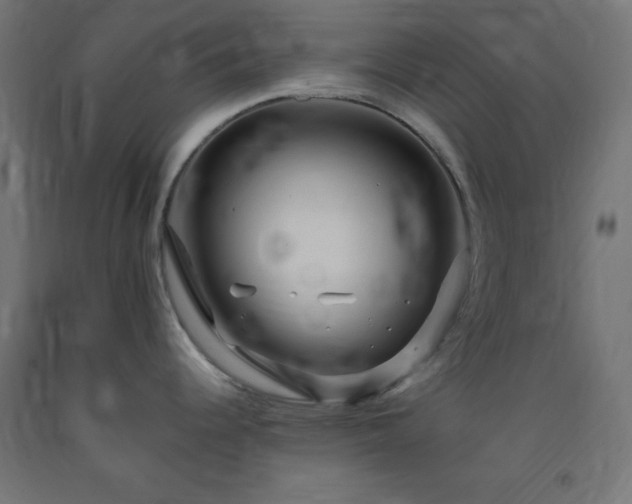 X0000093251344200710031555