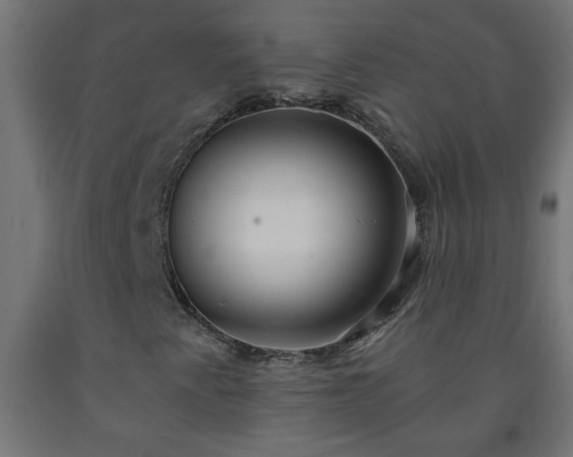 X0000093251345200710031555