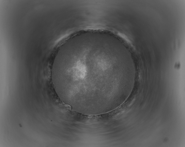 X0000093251350200710031554