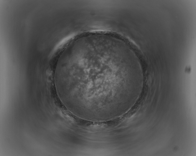 X0000093251351200710031554