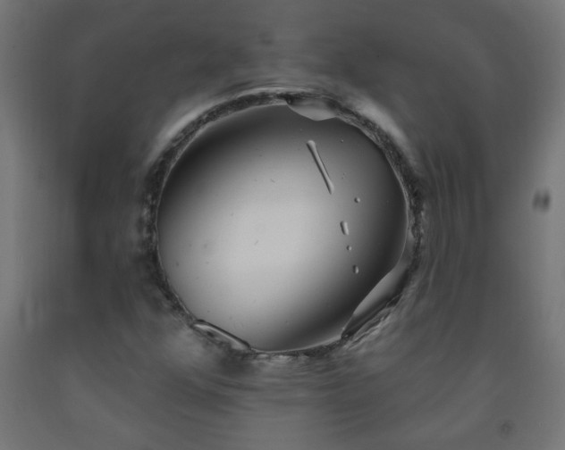 X0000093251352200710031554