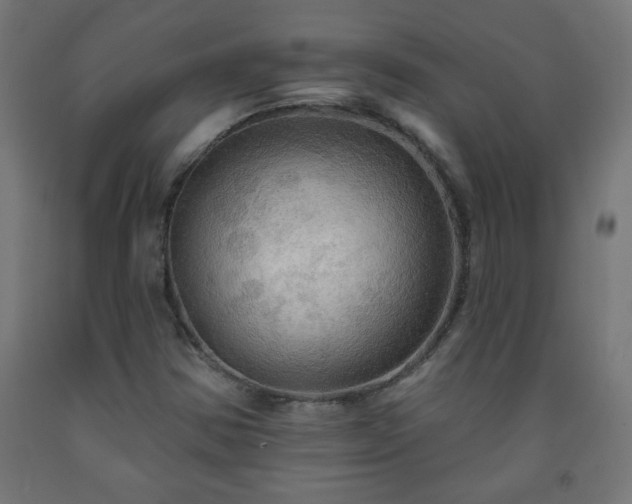 X0000093251354200710031554