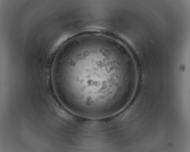 X0000093251355200710031554