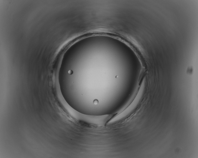 X0000093251356200710031554