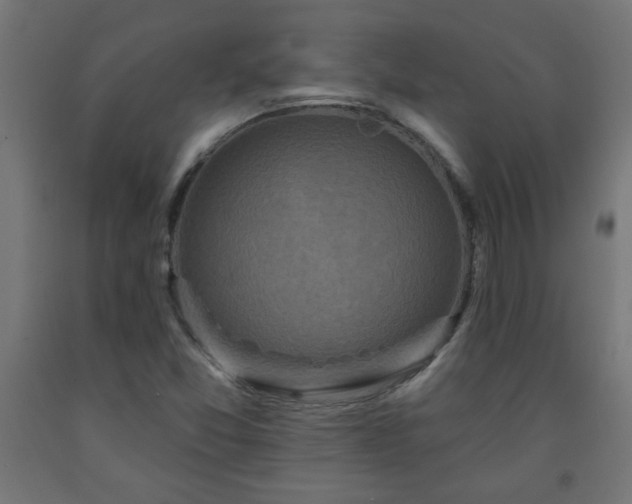 X0000093251357200710031554