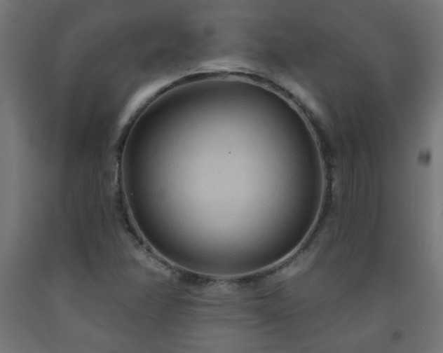 X0000093251358200710031554