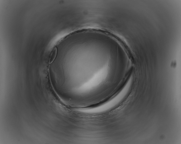 X0000093251359200710031554