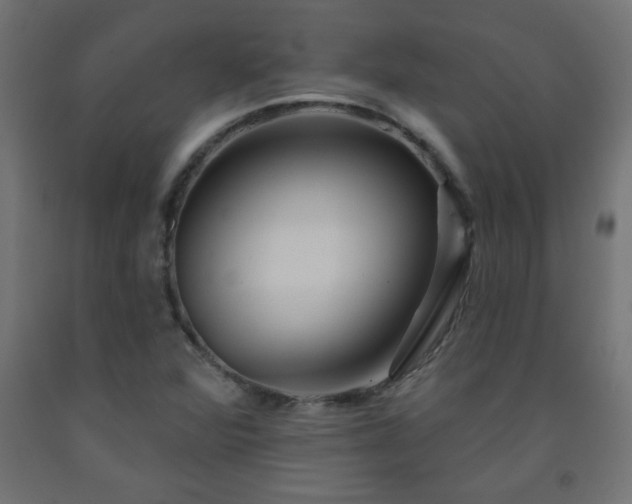 X0000093251360200710031554