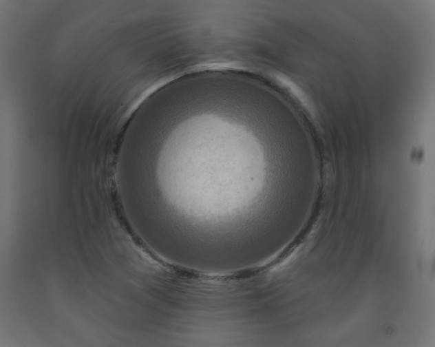 X0000093251361200710031554