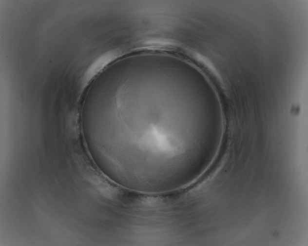 X0000093251362200710031554