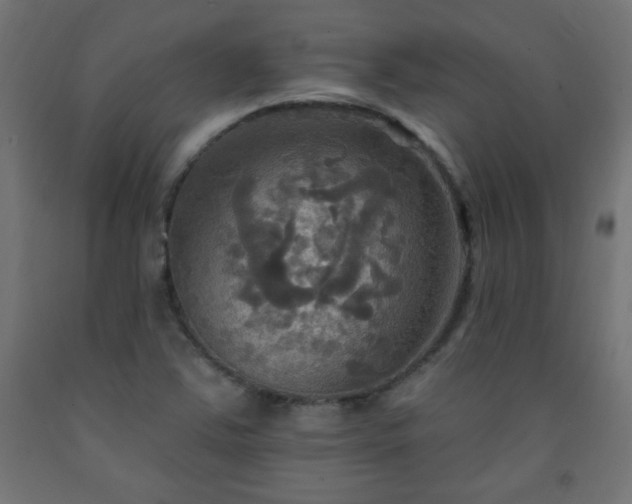 X0000093251363200710031554