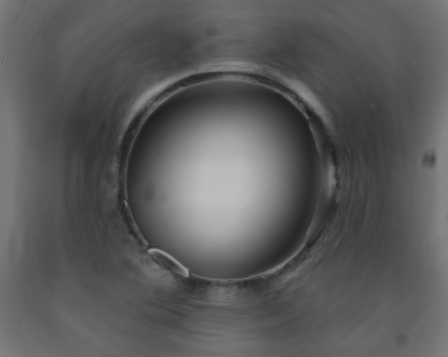 X0000093251364200710031554