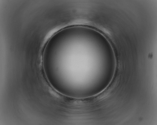 X0000093251366200710031554