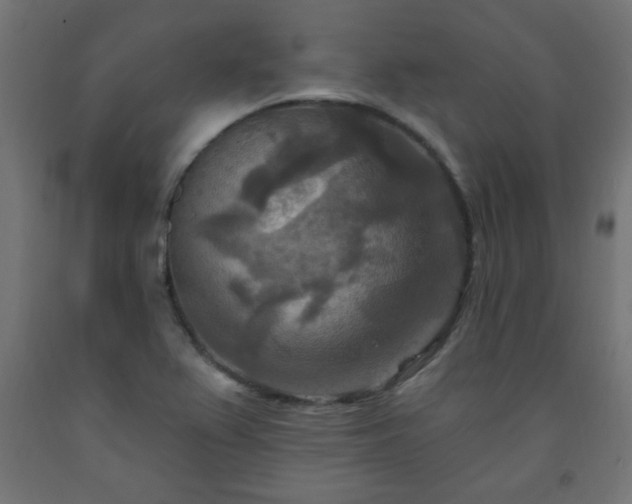 X0000093251367200710031554