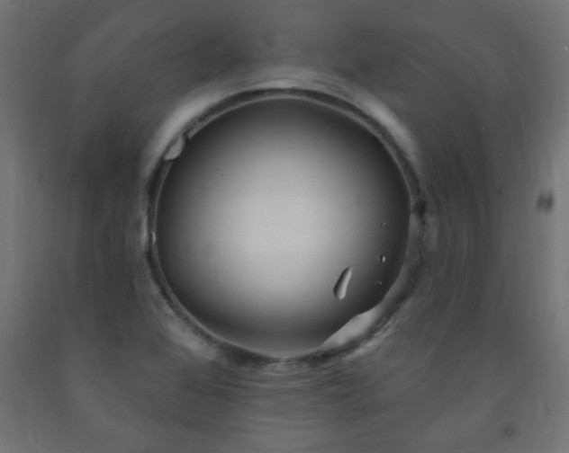 X0000093251368200710031554