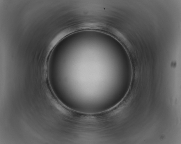 X0000093251370200710031554