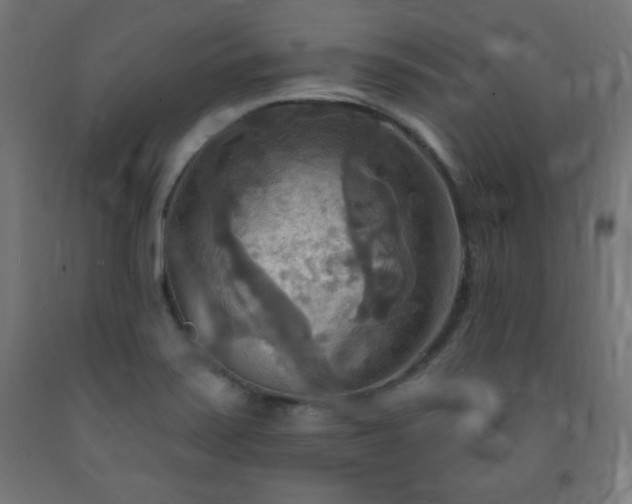 X0000093251371200710031554