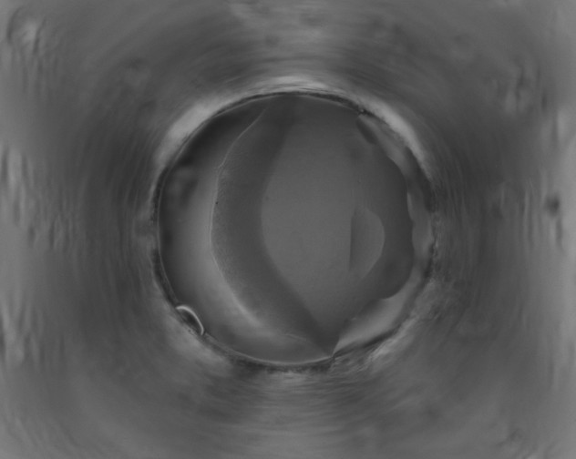 X0000093251373200710031554