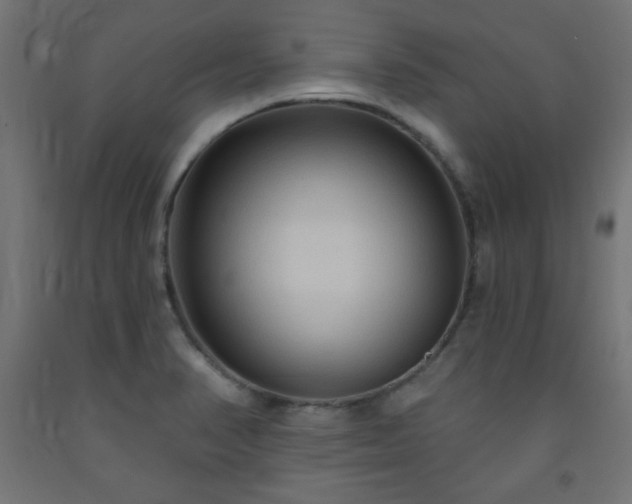 X0000093251374200710031554