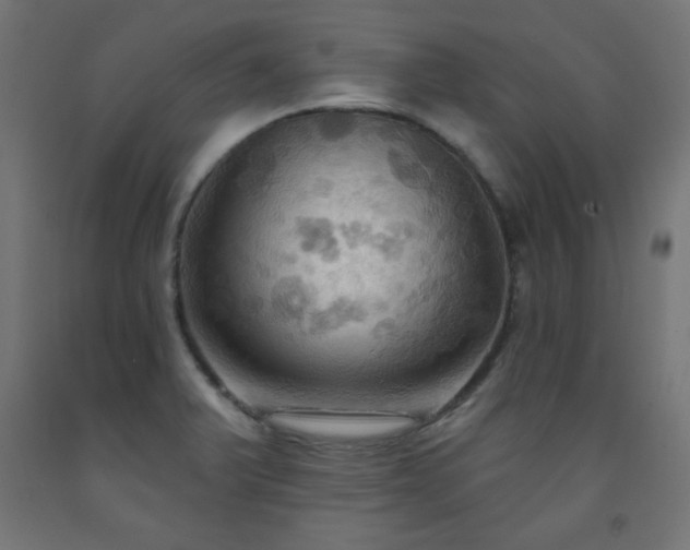 X0000093251375200710031554