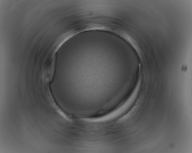 X0000093251377200710031554