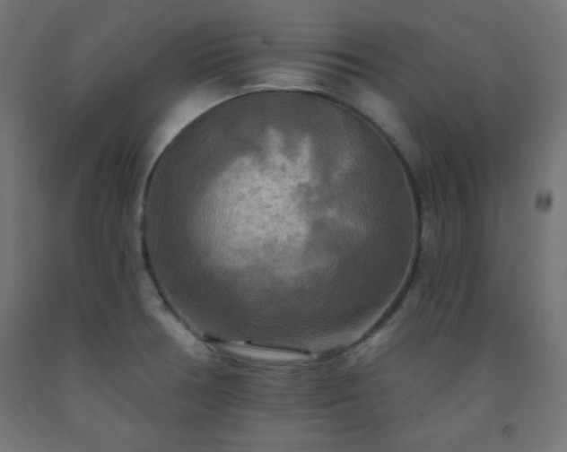 X0000093251378200710031554