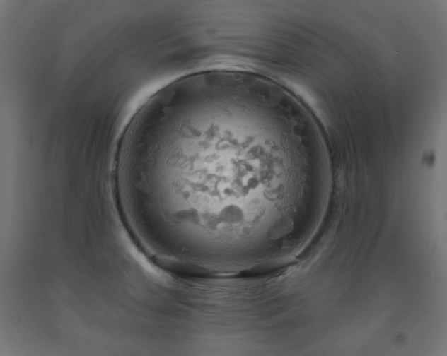 X0000093251379200710031554