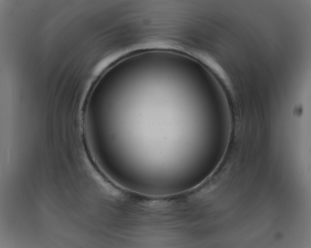 X0000093251380200710031554