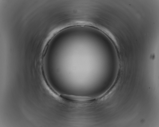 X0000093251381200710031554