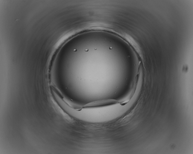 X0000093251384200710031554