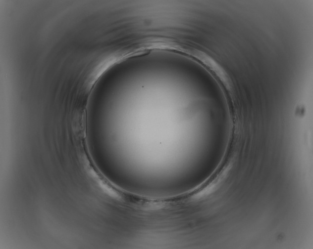 X0000093251385200710031554