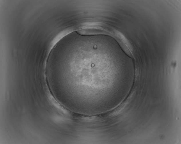 X0000093251386200710031554