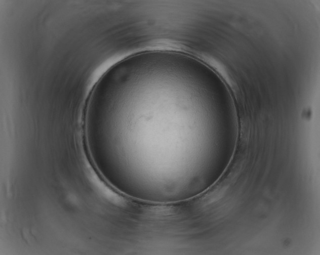 X0000093251387200710031554