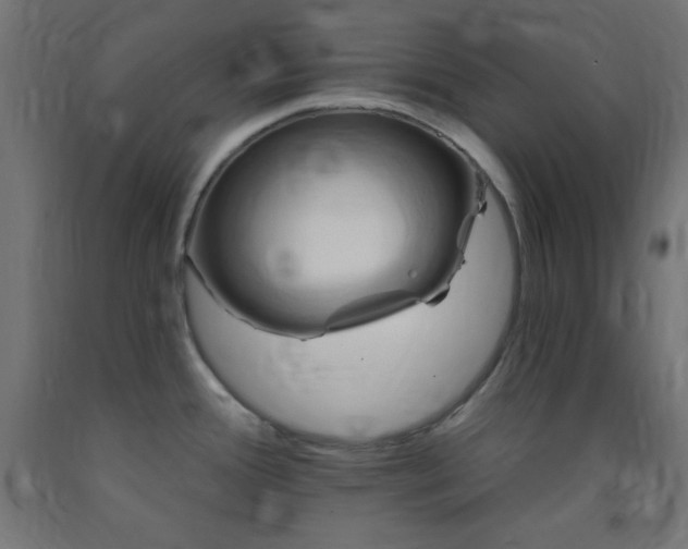 X0000093251388200710031554