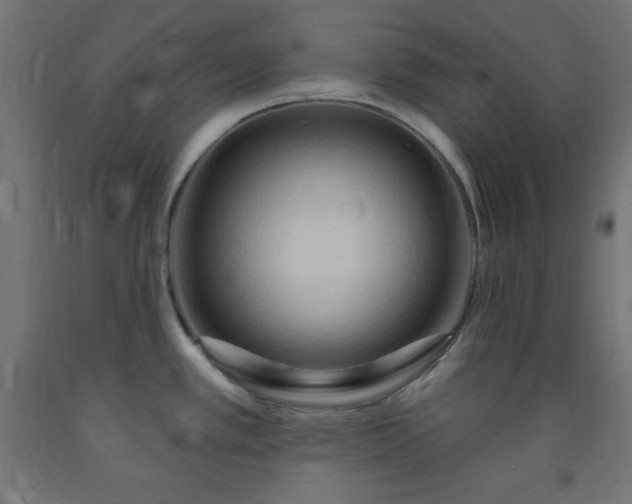 X0000093251389200710031554