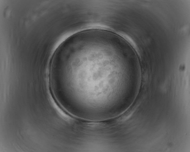 X0000093251391200710031554