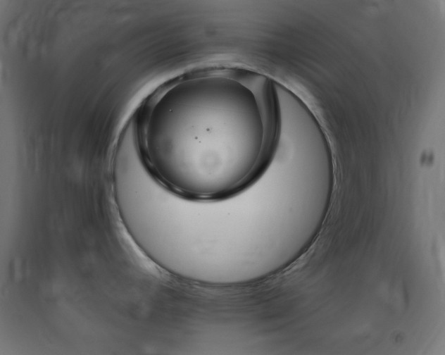 X0000093251392200710031554