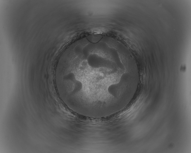 X0000093251393200710031553