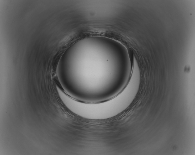 X0000093251394200710031553