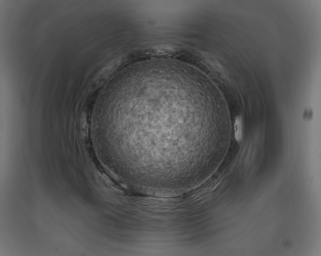 X0000093251395200710031553