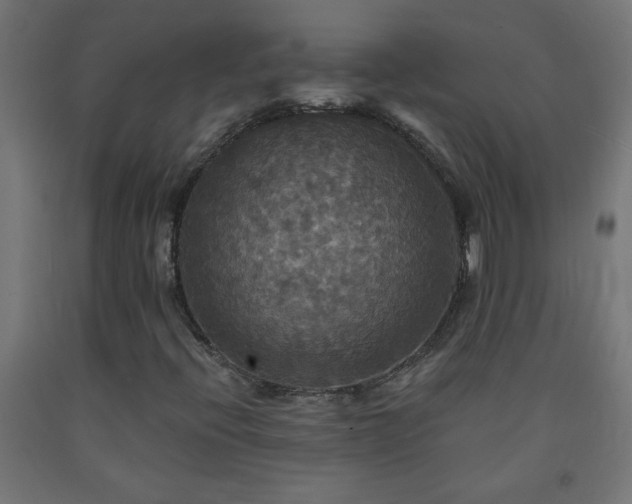 X0000093251396200710031553