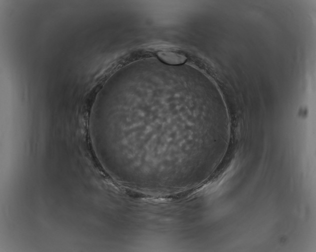 X0000093251397200710031553