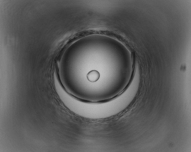 X0000093251398200710031553