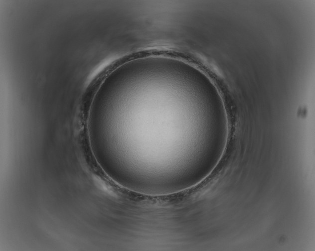 X0000093251400200710031553