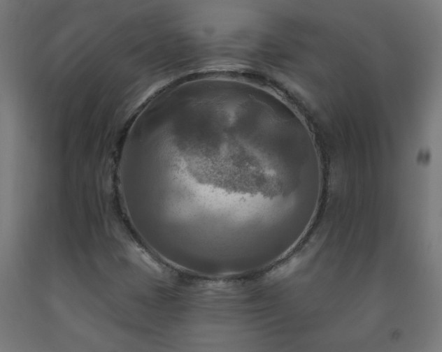 X0000093251401200710031553