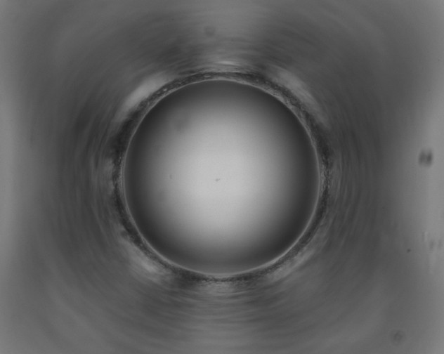 X0000093251402200710031553