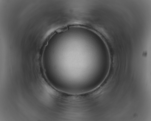 X0000093251404200710031553