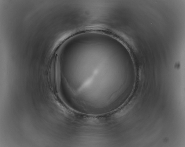 X0000093251405200710031553