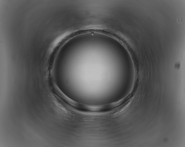 X0000093251406200710031554