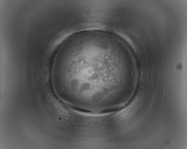 X0000093251407200710031554